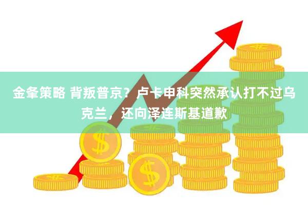 金夆策略 背叛普京？卢卡申科突然承认打不过乌克兰，还向泽连斯基道歉